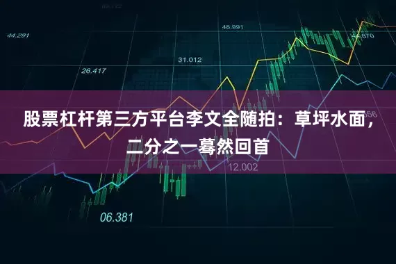 股票杠杆第三方平台李文全随拍：草坪水面，二分之一蓦然回首